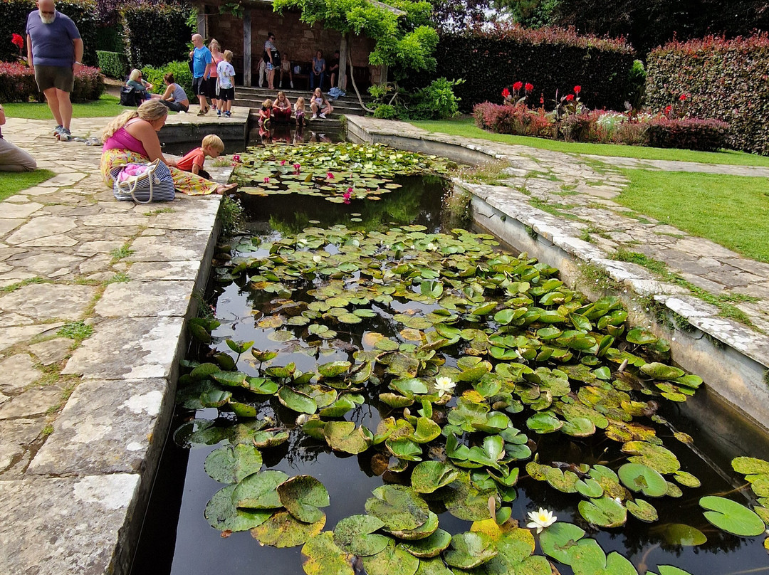 Kingston Maurward Park and Gardens景点图片