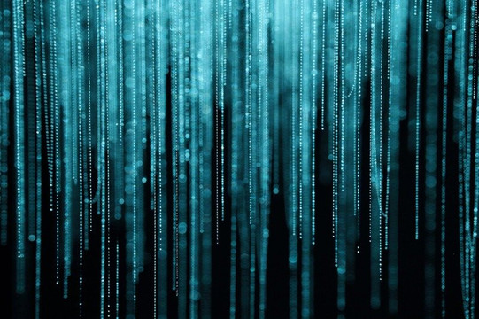 Waitomo Glowworm Caves and Hamilton Gardens - Budget Day Tour from Auckland