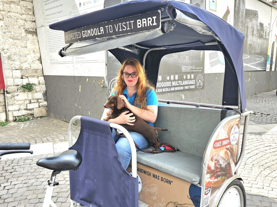 Velo Service - Bike Rental & Tours-巴里必去景点