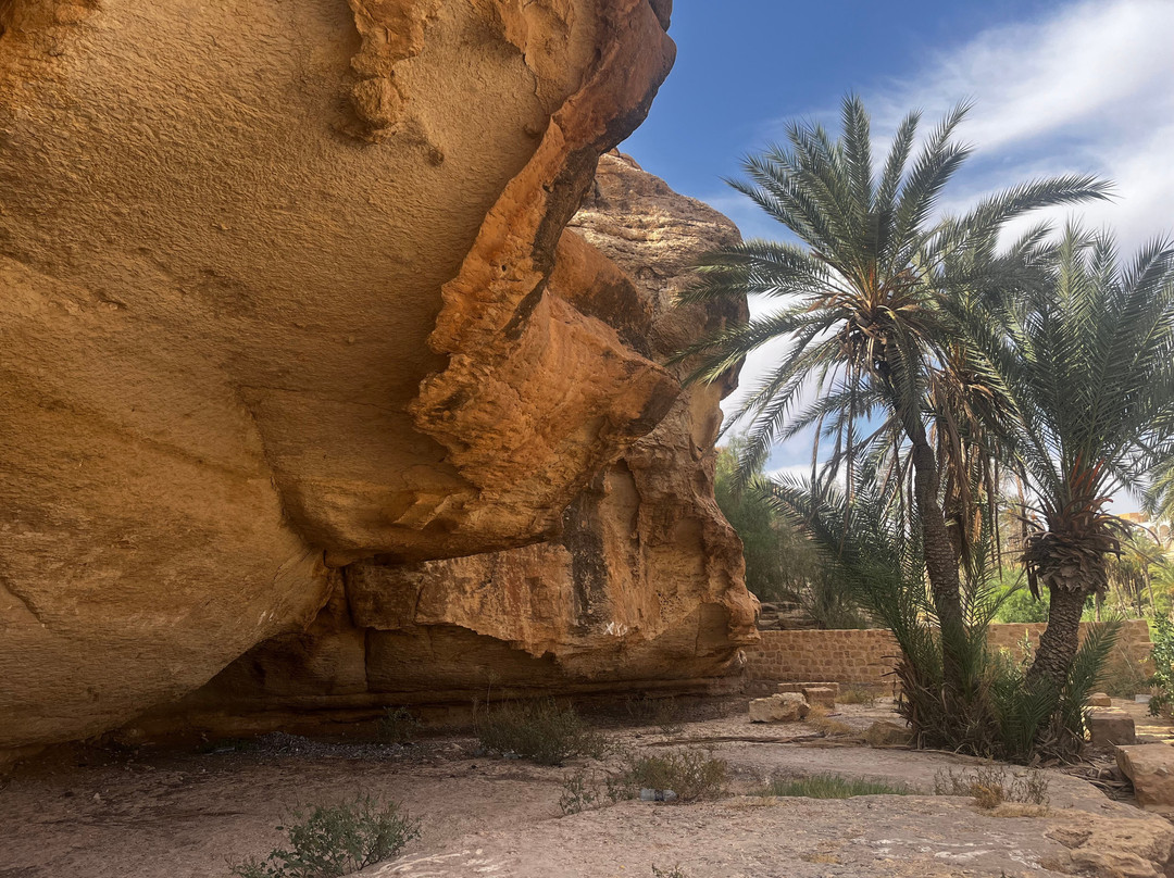 South Tunisia Adventures景点图片