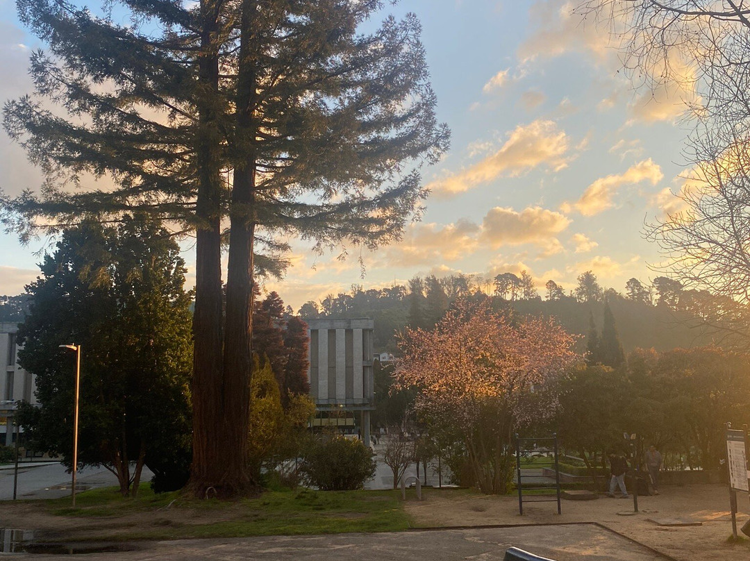 Universidad de Concepcion-康塞普西翁必去景点