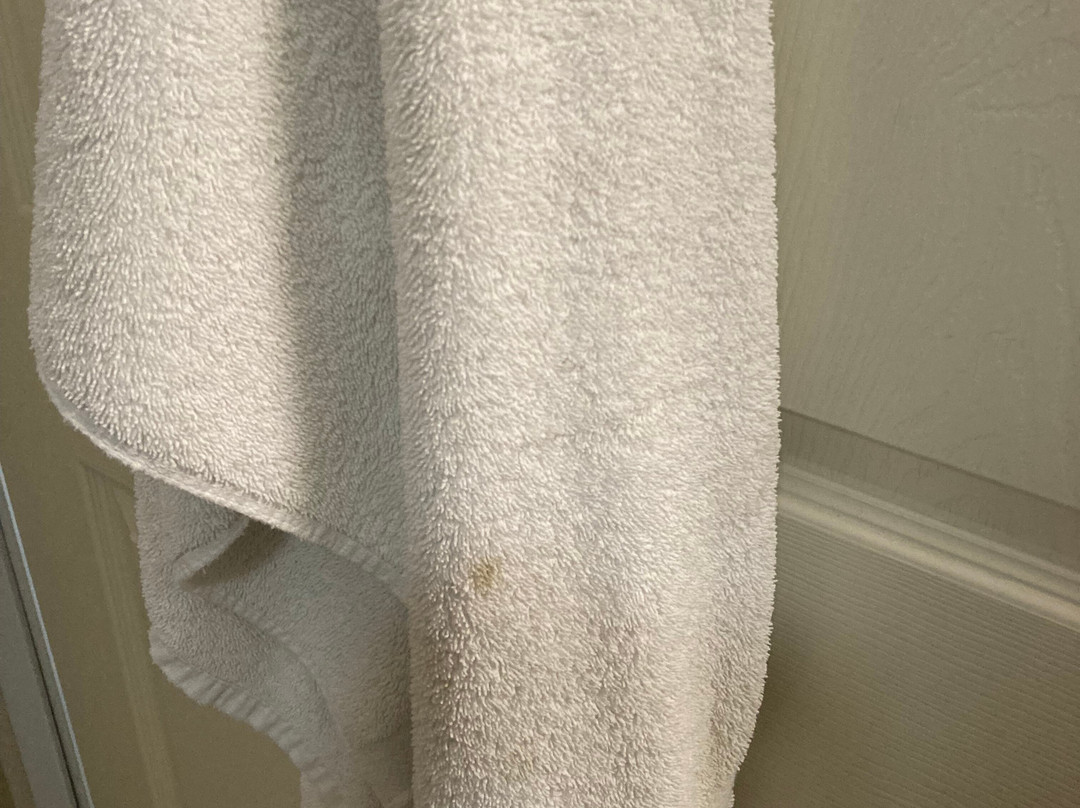 La Quinta Inn & Suites by Wyndham Ruidoso Downs主图