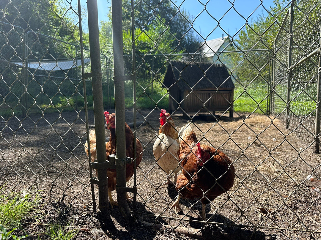 Camping Moulin De La Geneste主图