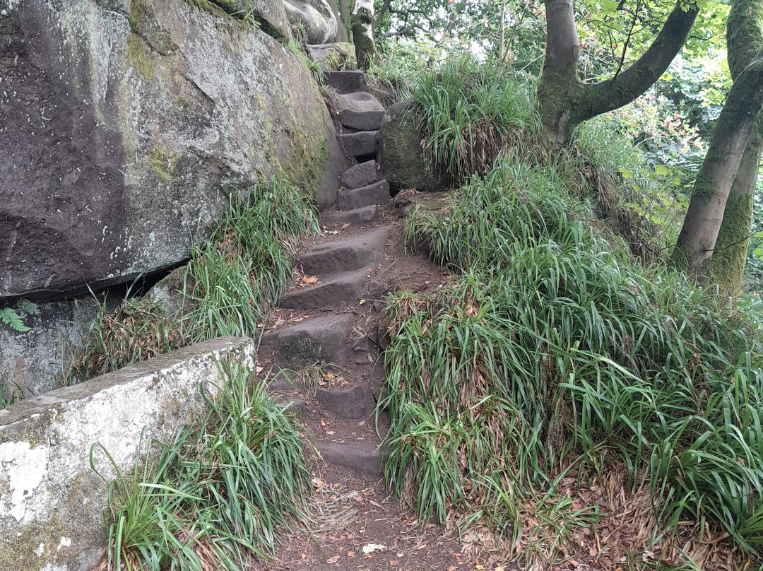 Druids Caves景点图片