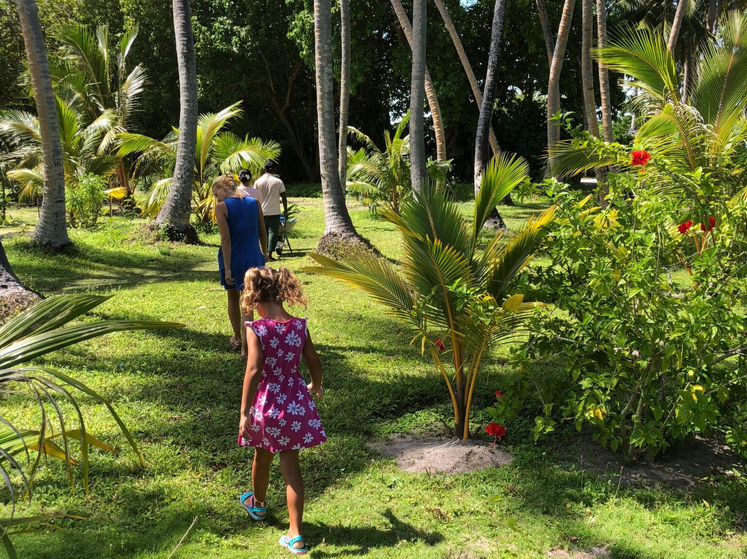 太阳岛度假村主图