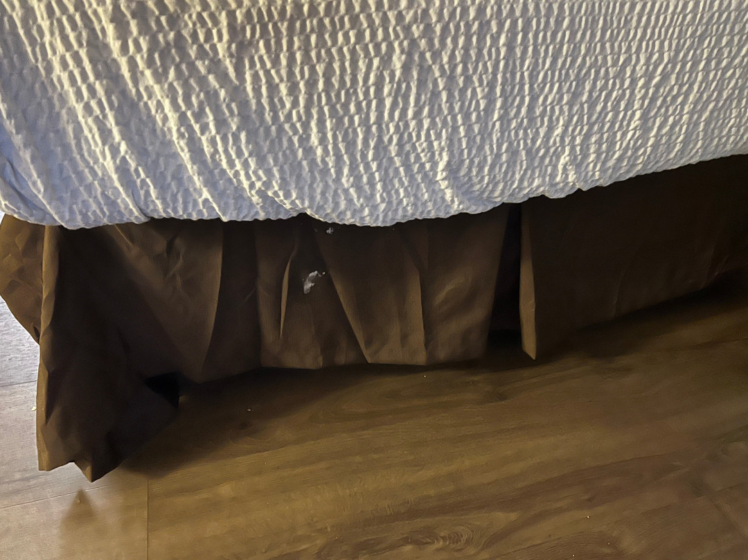 Extended Stay America - Orange County - Lake Forest主图