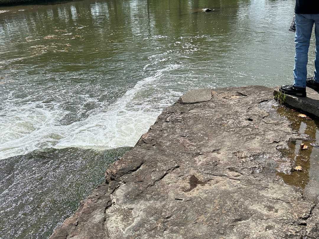 Pendleton Falls Park景点图片
