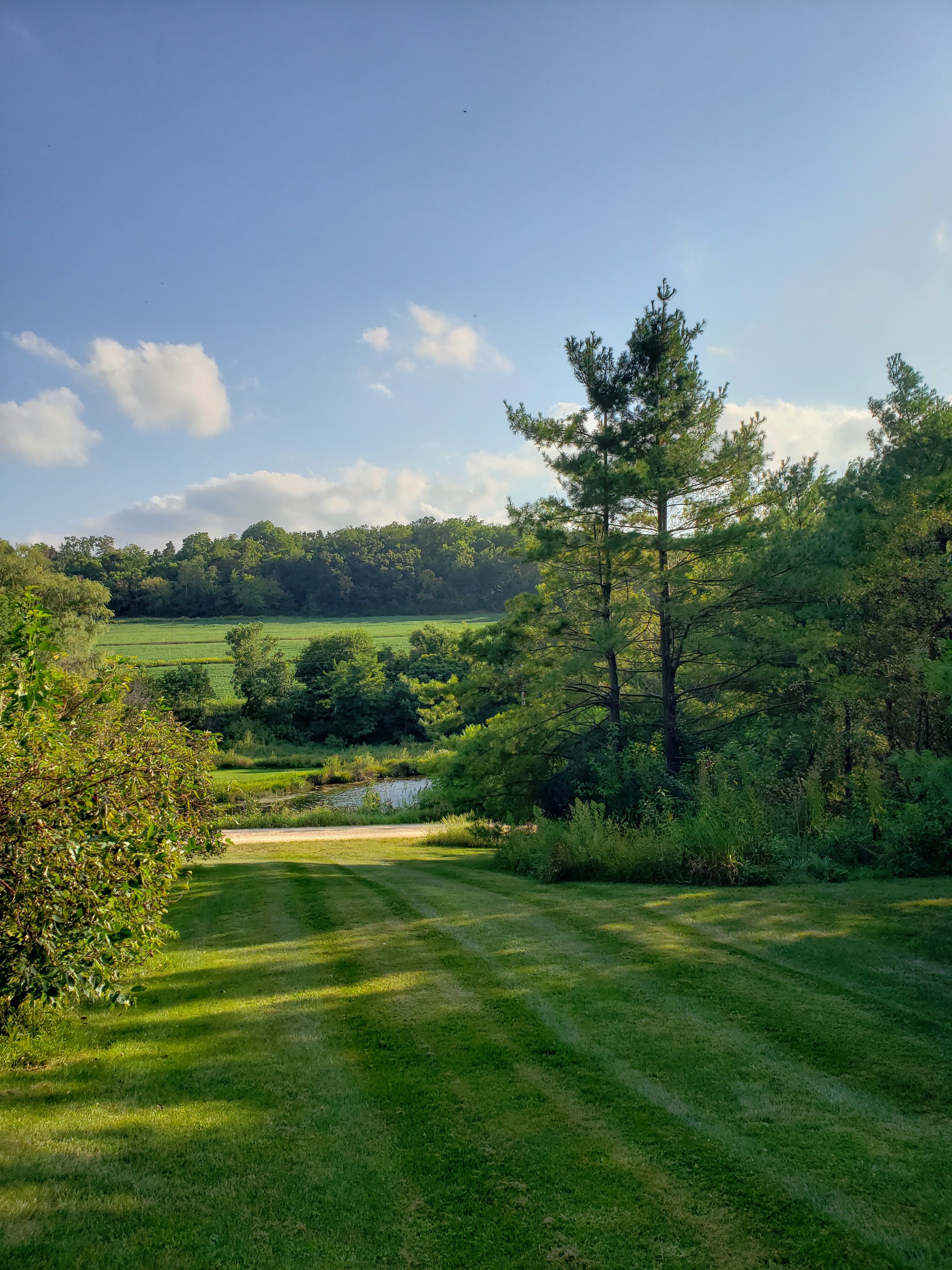 Hawk Valley Retreat & Cottages-酒店景观