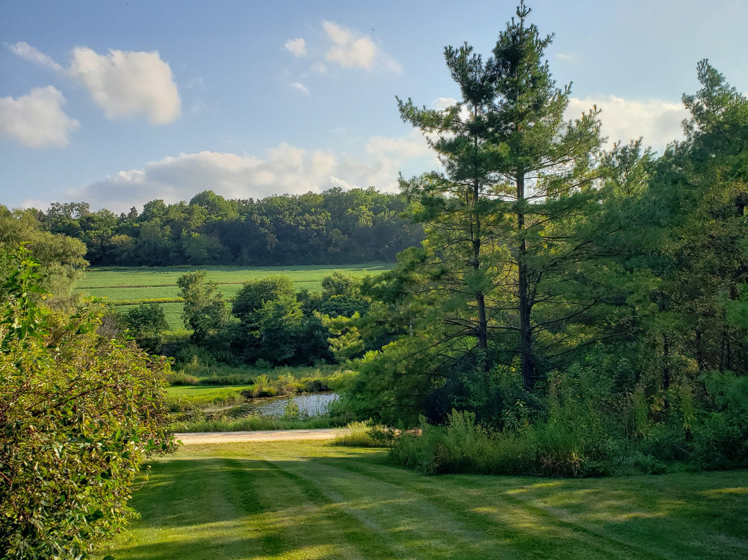 Hawk Valley Retreat & Cottages主图