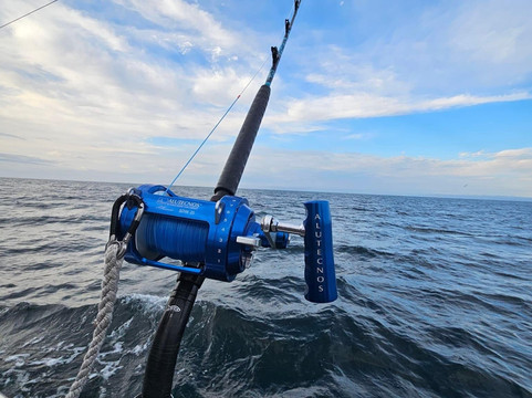 Bluefin Boat Trips St Ives-圣艾维斯必去景点