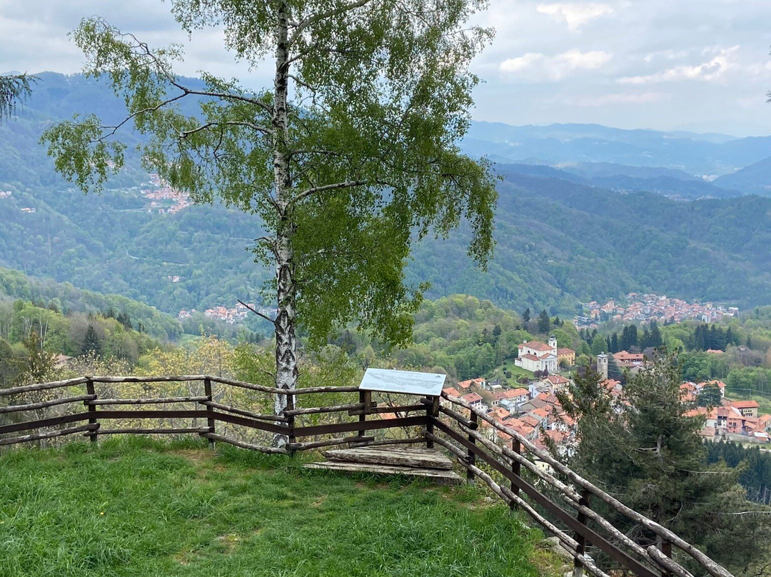 Strada Statale 232 Panoramica Zegna景点图片