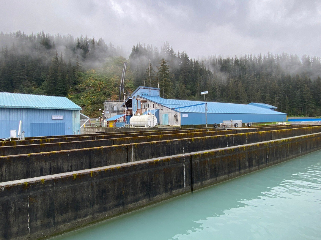 The Solomon Gulch Hatchery-瓦尔迪兹必去景点