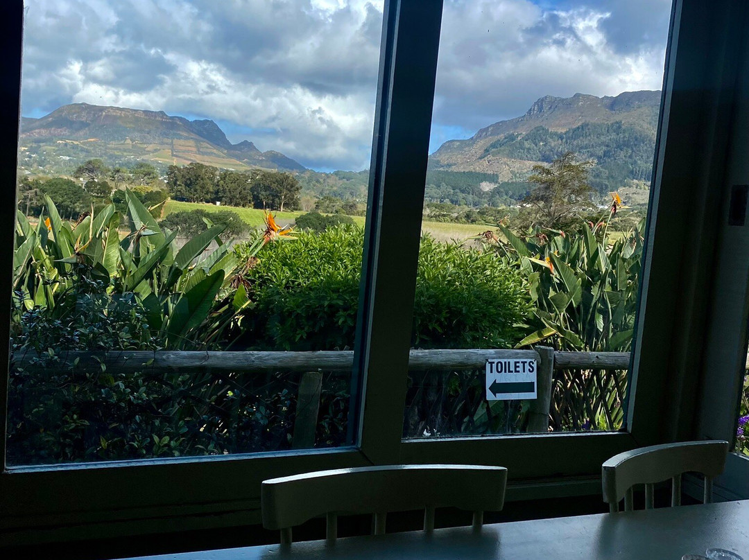 Chart Farm-开普敦中心区必去景点