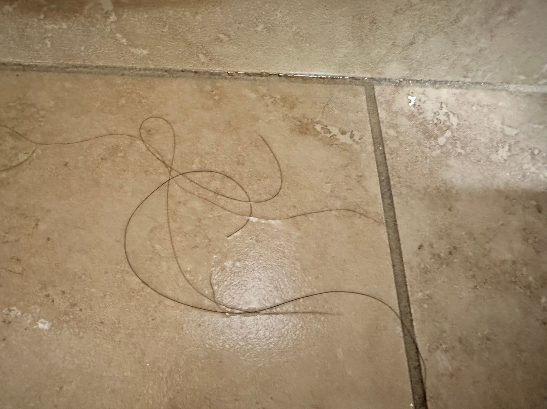 Best Western Fallon Inn & Suites主图