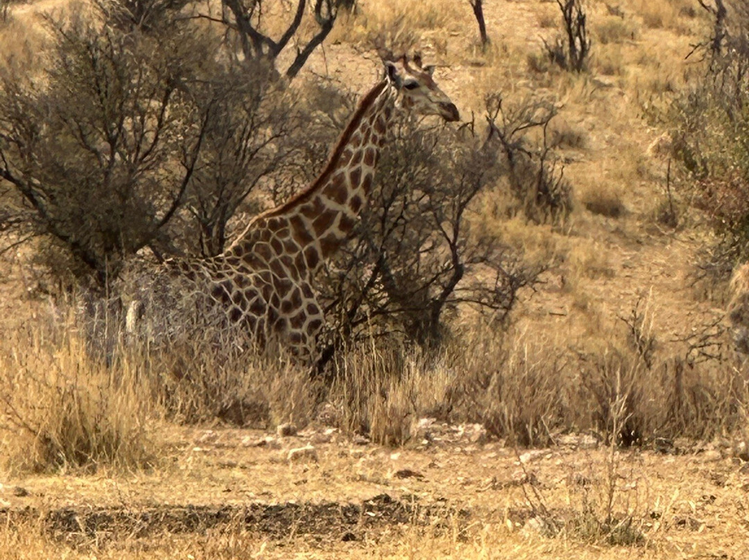 Mountain Bike Namibia-温德和克必去景点