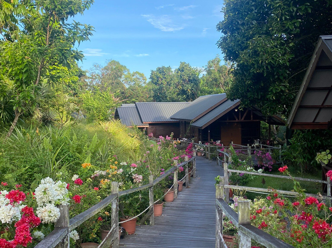 Borneo Sepilok Rainforest Resort主图