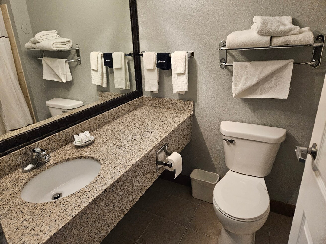 Americinn By Wyndham Woodstock Il主图