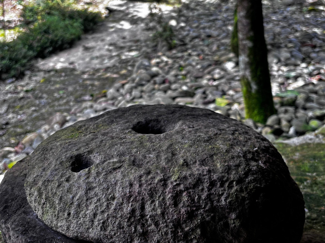 The Chumbi Mountain Resort & Spa主图