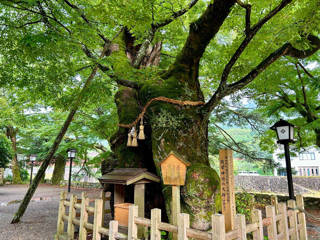 Yasaka Shrine-津和野町必去景点