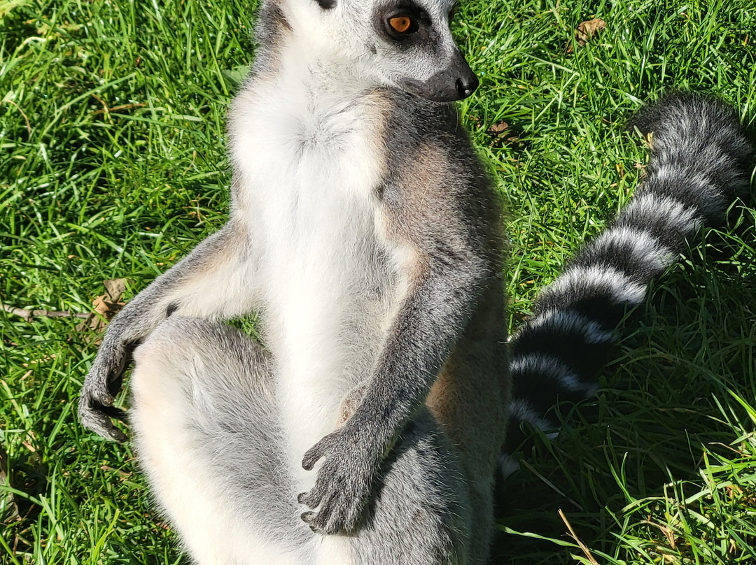 Tierpark Wismar景点图片