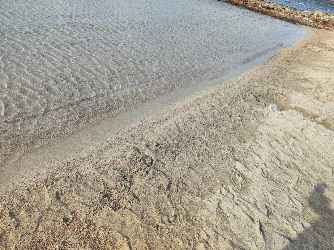 Tiny Beach Pink Sand景点图片