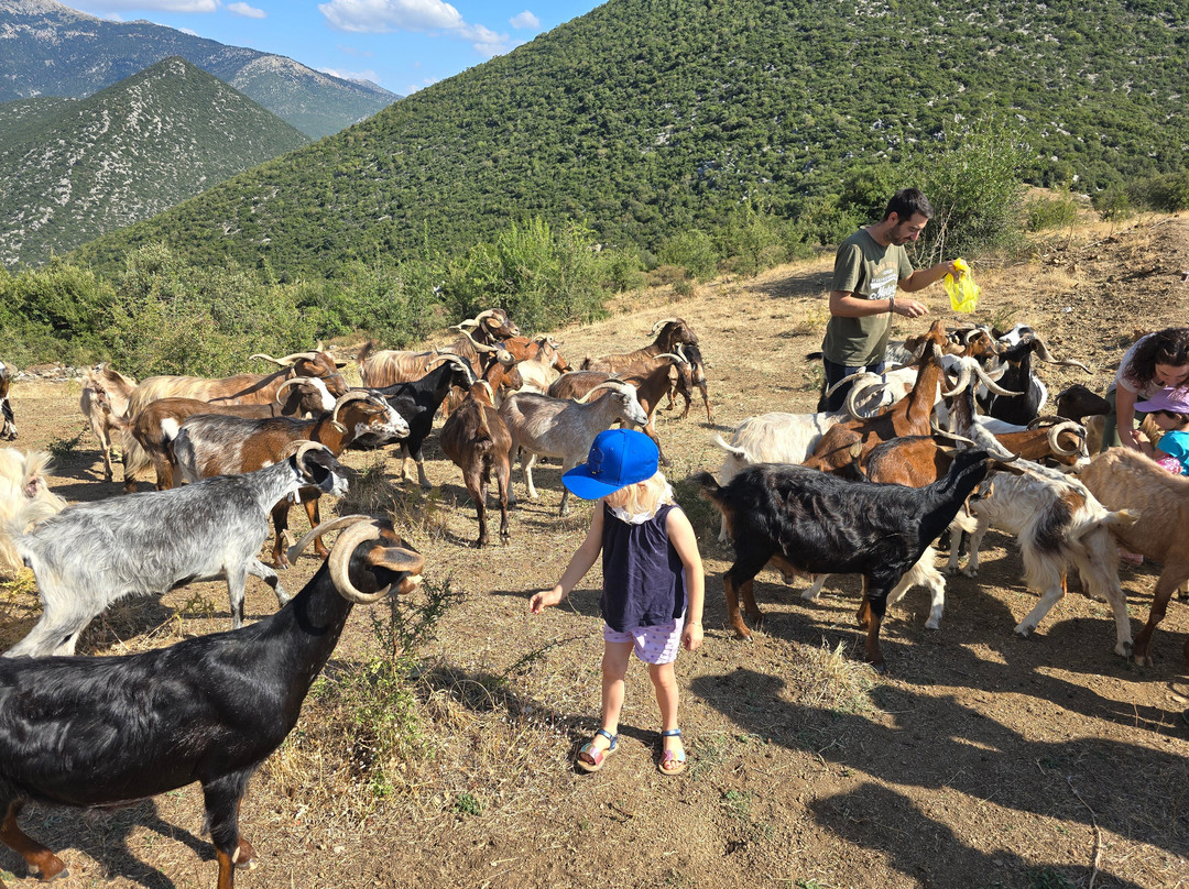 Sofie's Goat Farm-Argos必去景点