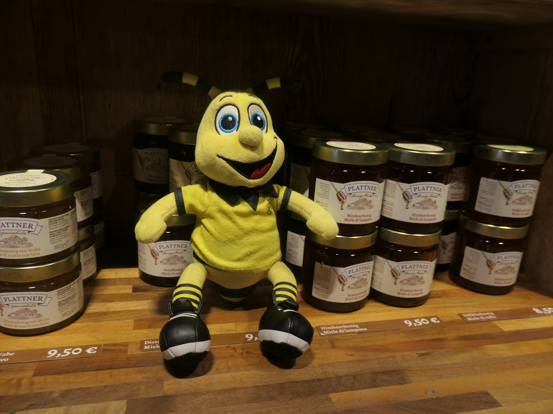 Plattner Bienenhof-Renon必去景点