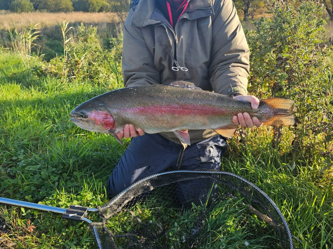 Birchwood Fishery-Drumquin必去景点