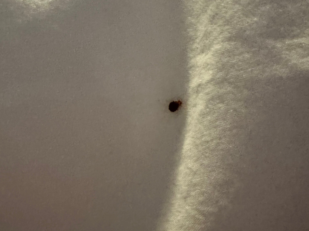 Hampton Inn & Suites Xenia Dayton主图