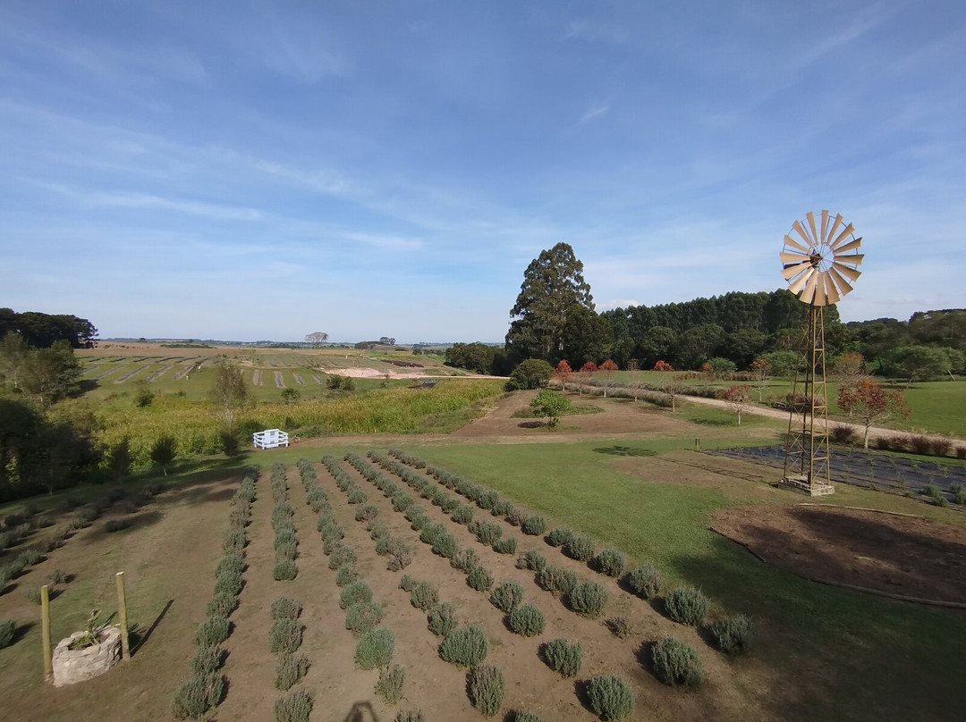 Colonia Witmarsum-Palmeira必去景点