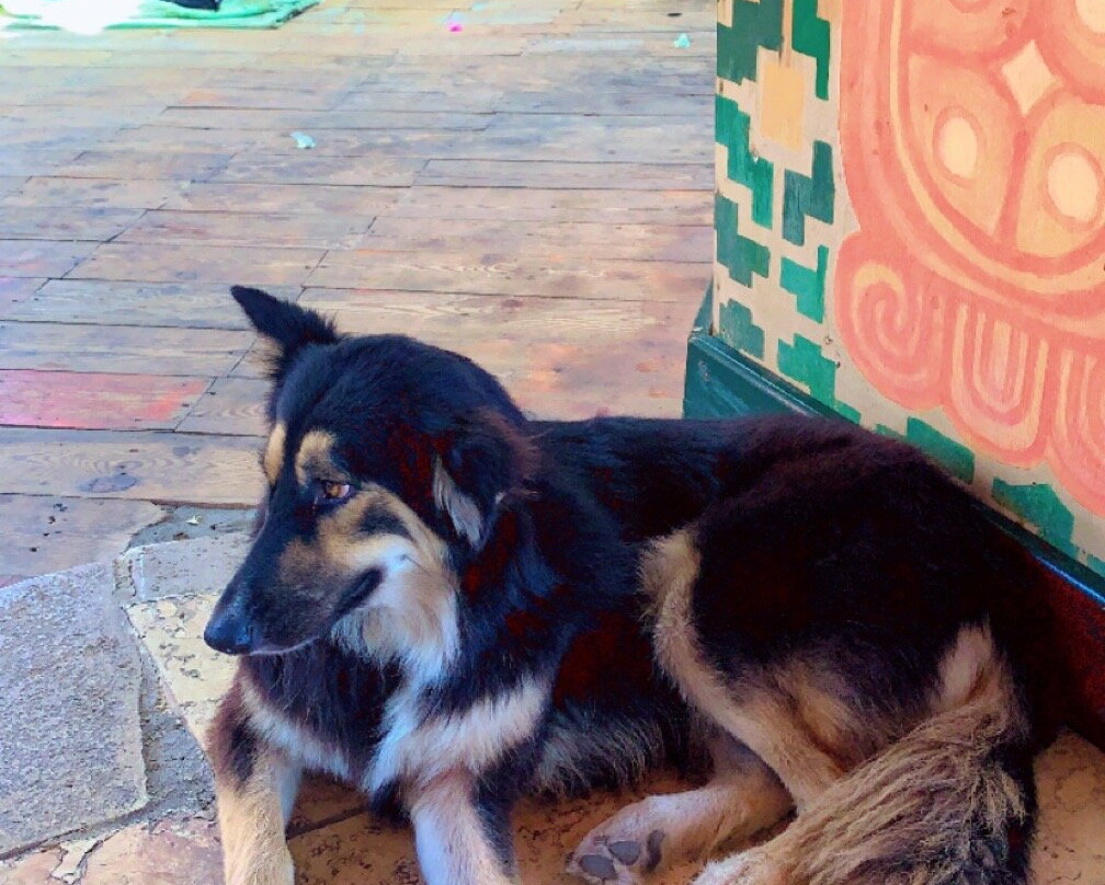 Acacia Dahab Hotel主图