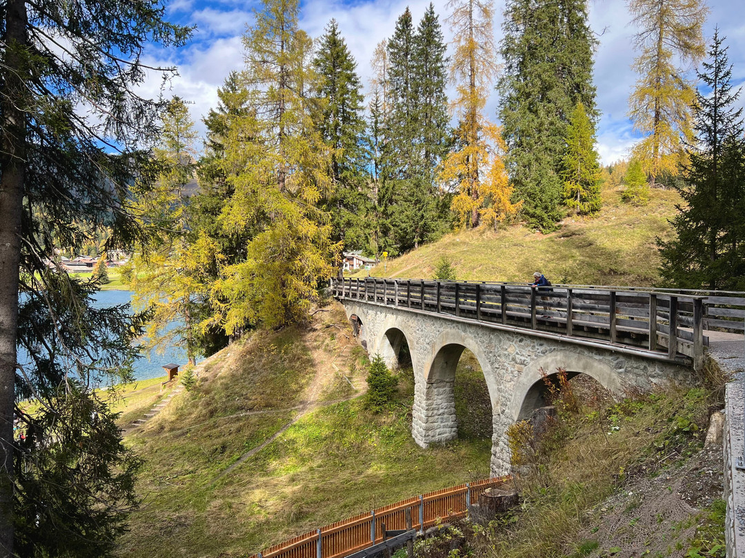Lake Davos景点图片