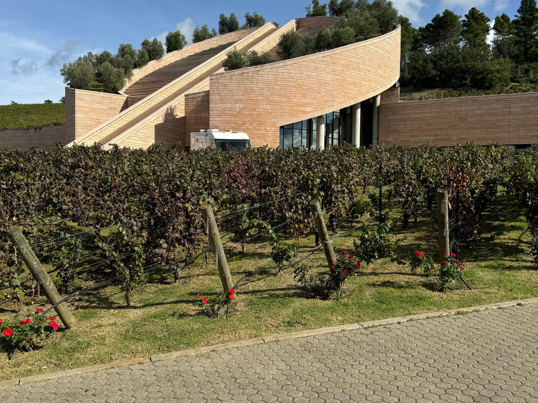 Tuscany for Cruise景点图片