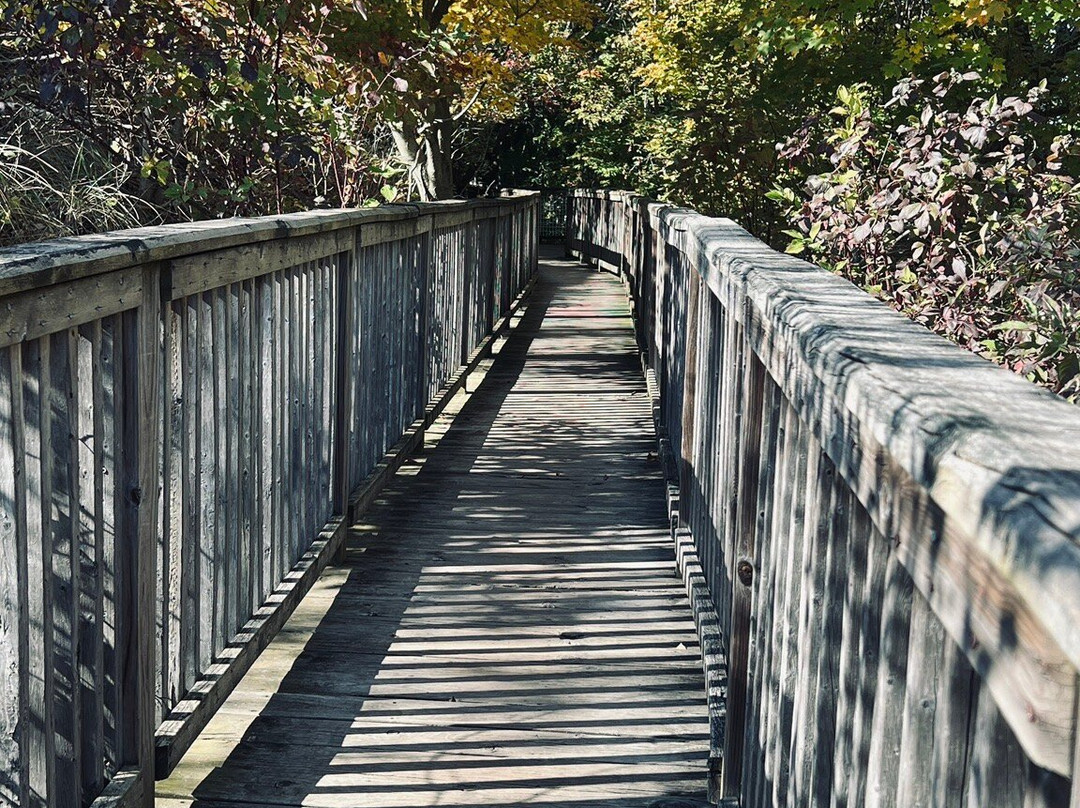 毗斯迦山-荷兰村必去景点