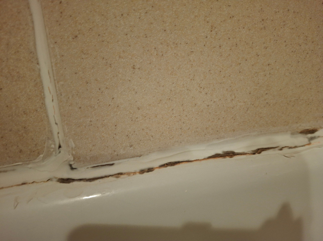 富兰克林希尔顿恒庭酒店主图