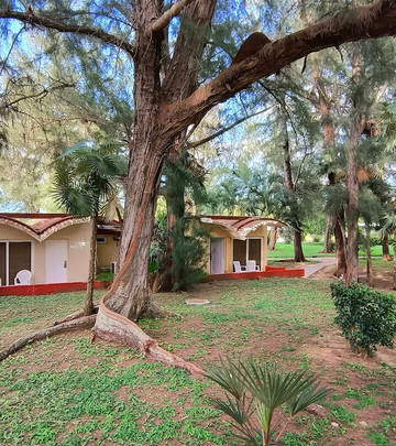 Starfish Jibacoa主图