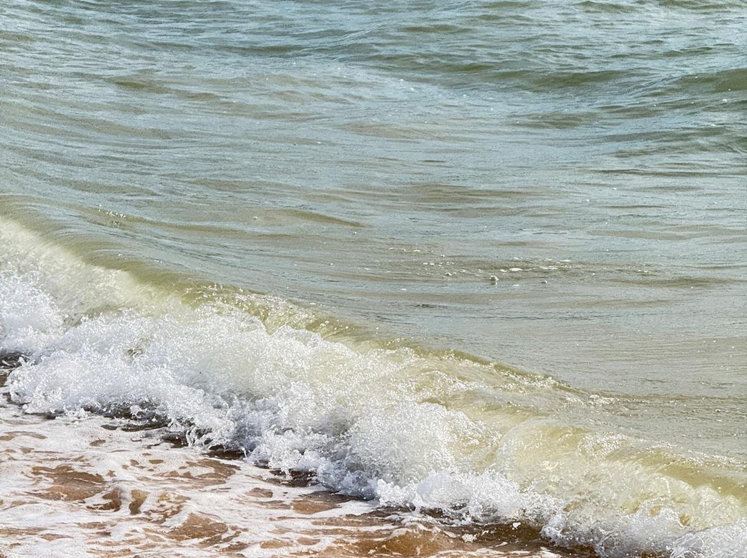 Villa Tranberg主图