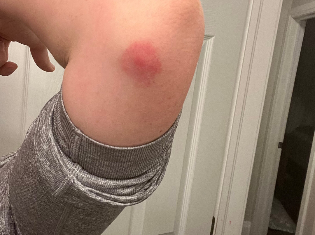 Comfort Inn & Suites主图