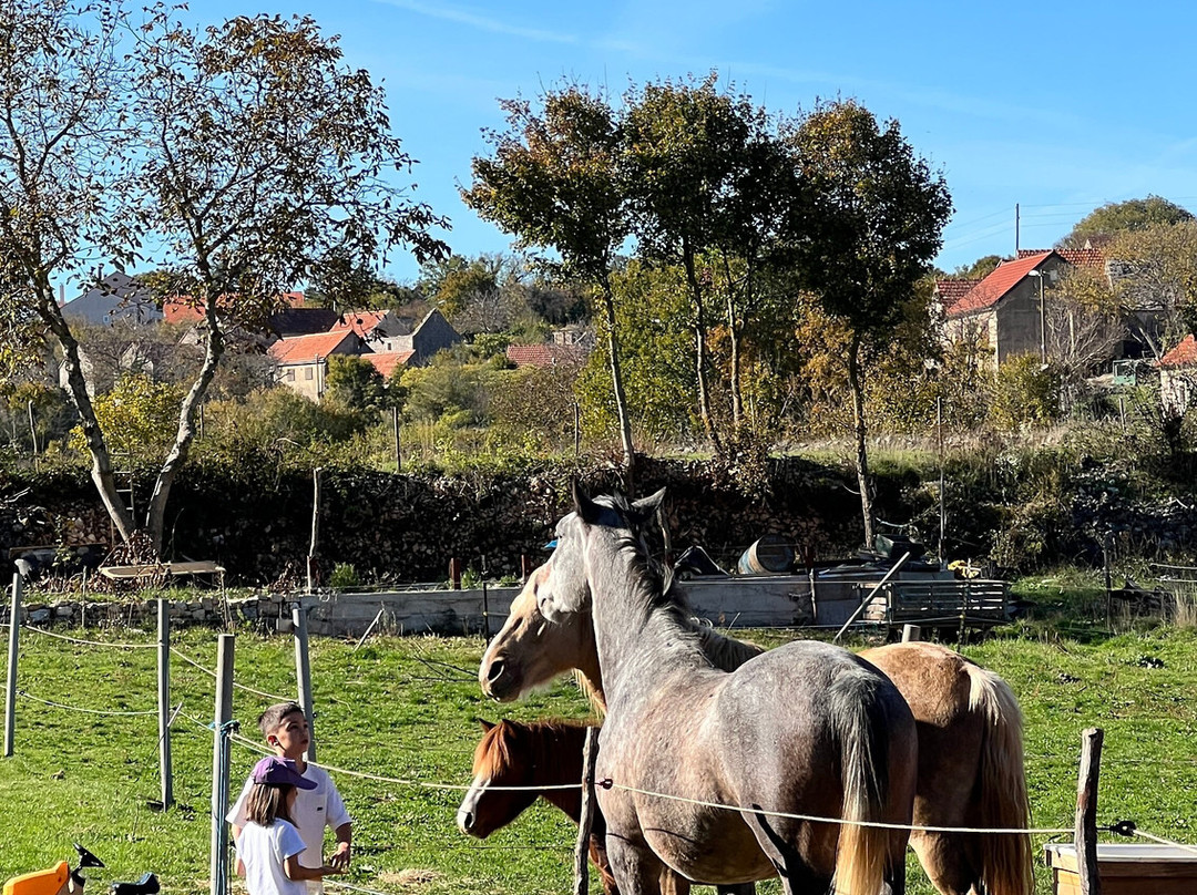 Ranch Okrugli Dolac景点图片
