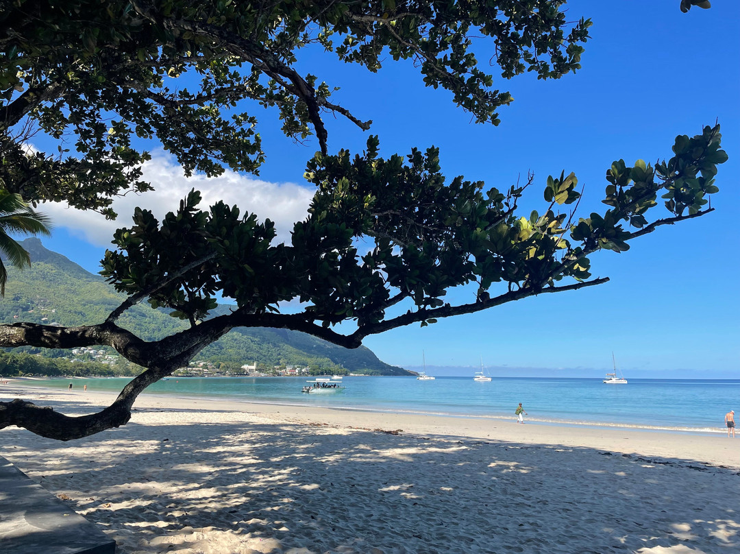 Romance Bungalows主图