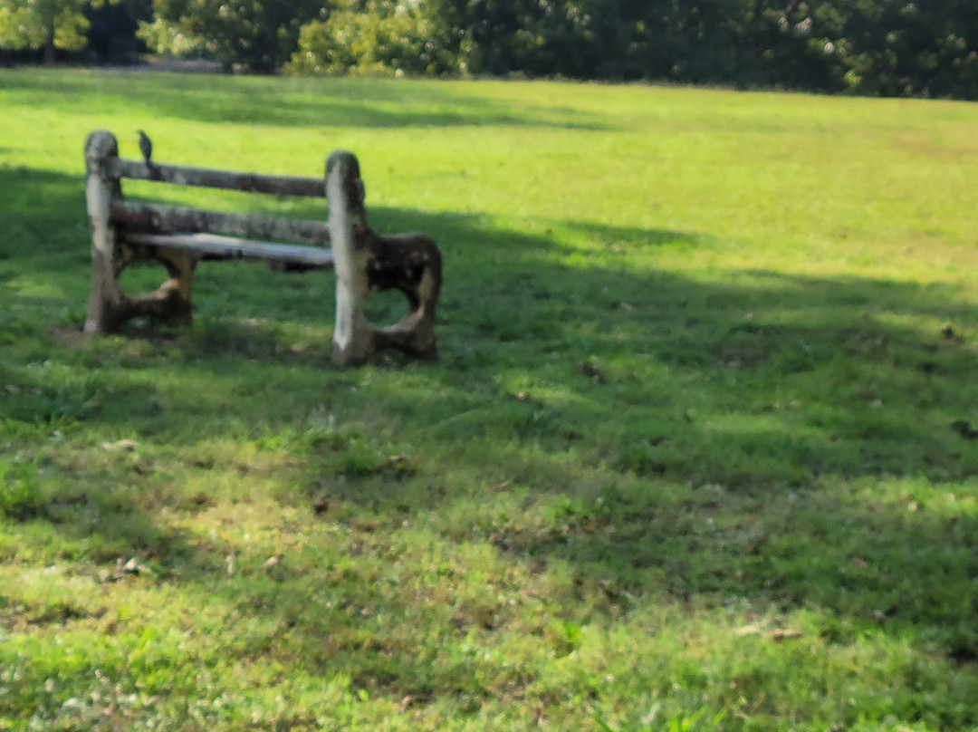 Monastery of the Holy Spirit-Conyers必去景点