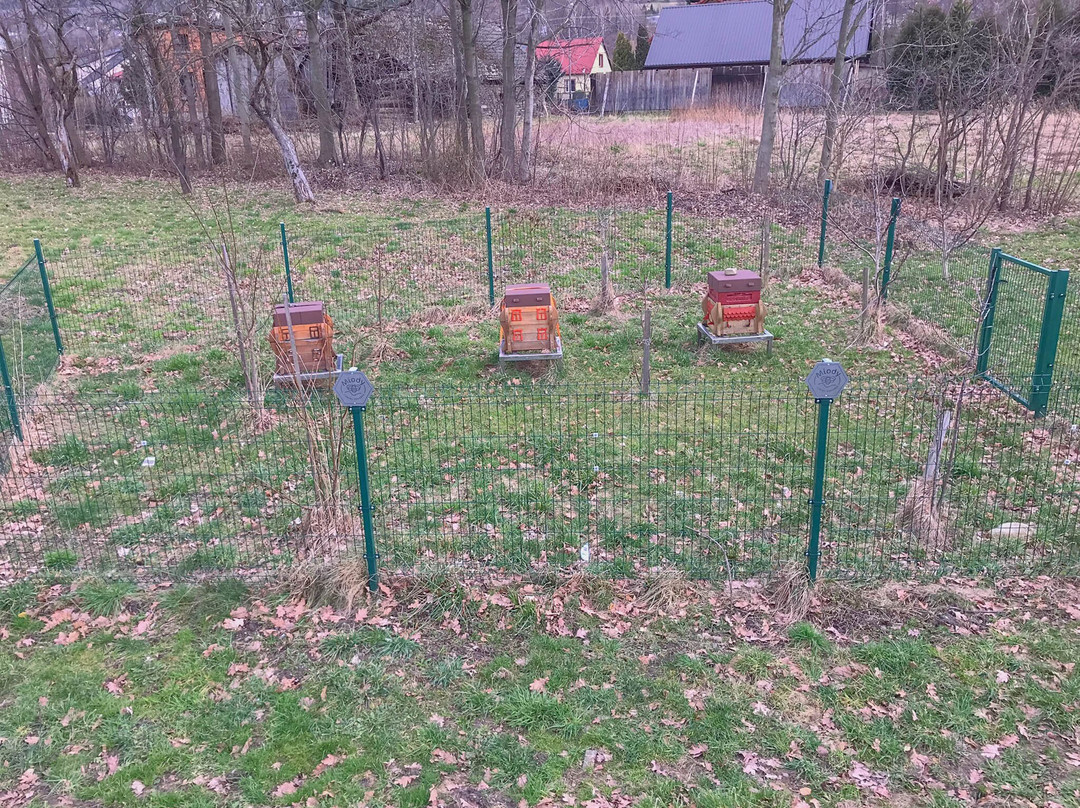 Gminna Pasieka Edukacyjna