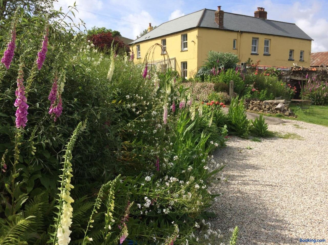 Frizenham Farmhouse B&B