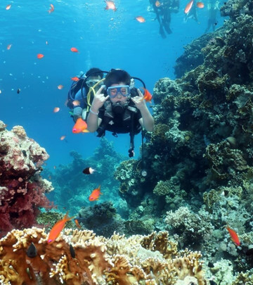 I Dive Diving Centre-沙姆沙伊赫必去景点