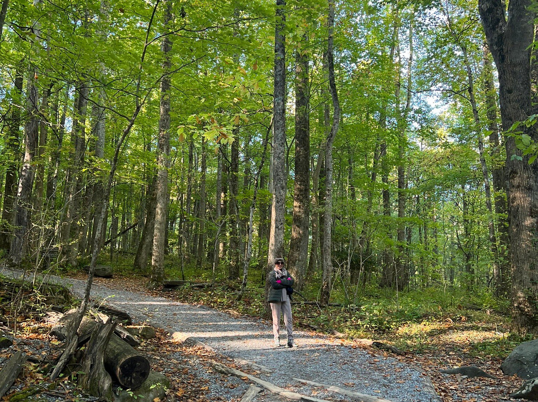 Rainbow Falls Trail-大雾山国家公园必去景点