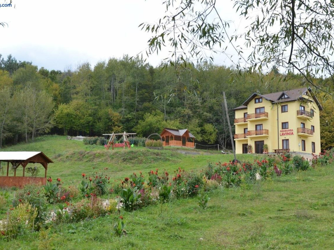 Pensiunea Lavinia