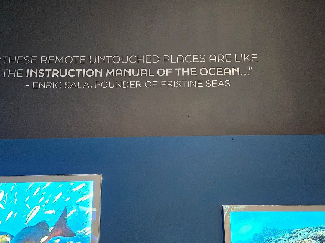 Borneo Cultures Museum-古晋必去景点