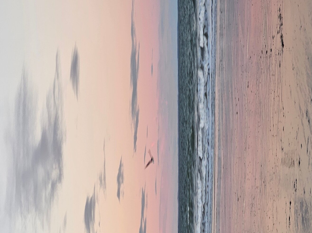 南塔斯克特海滩酒店主图