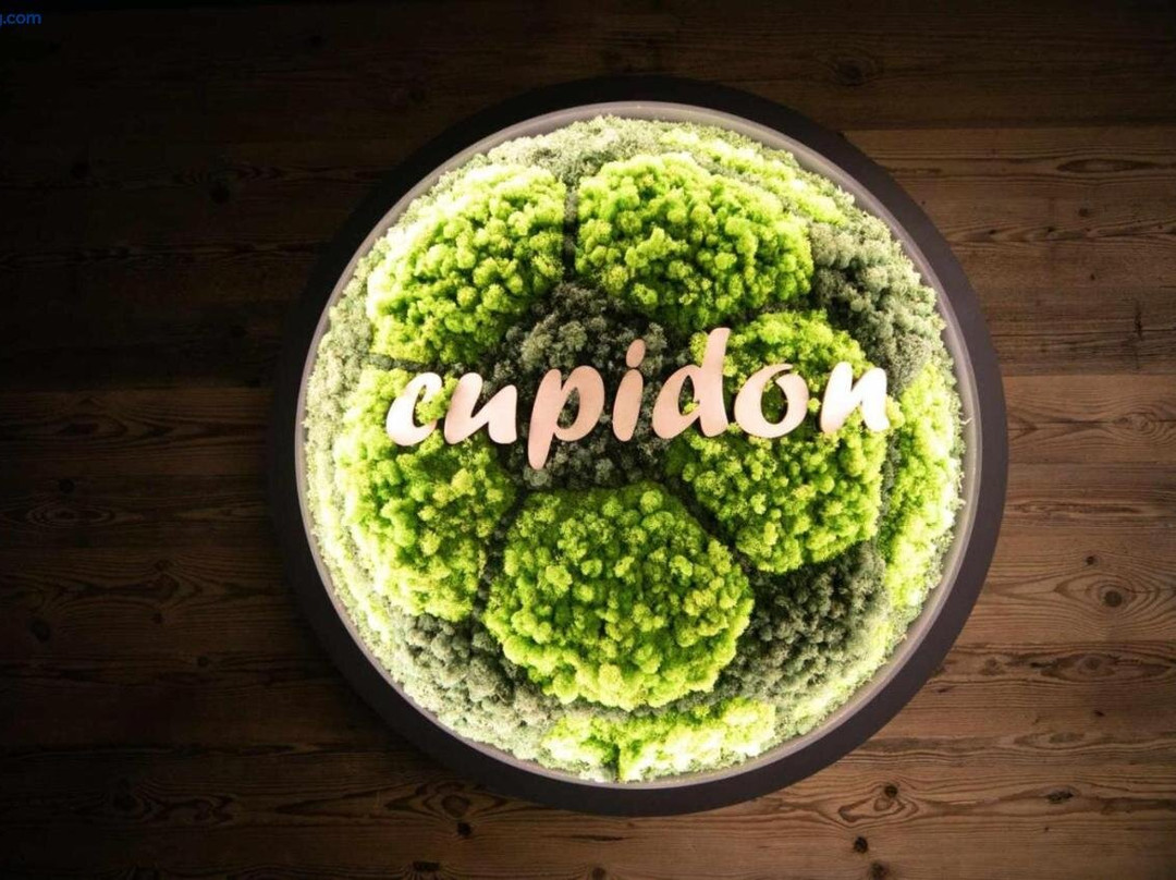 Cupidon Panzio