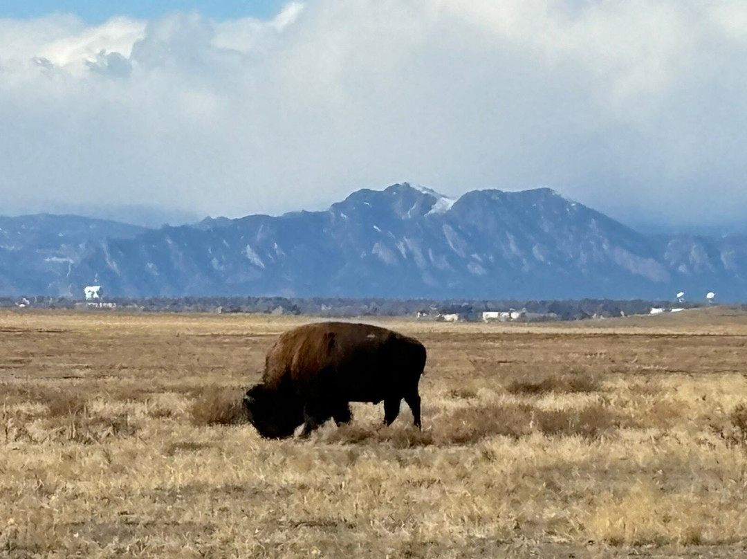 Rocky Mountain Arsenal National Wildlife Refuge景点图片